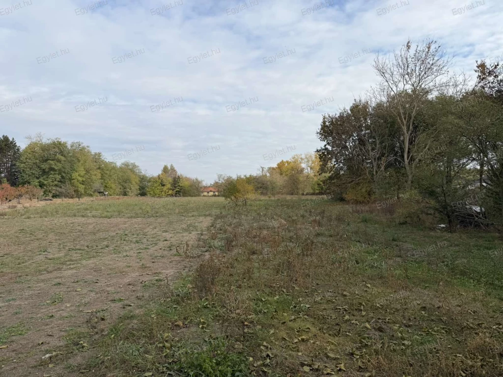 For sale building plot, Albertirsa