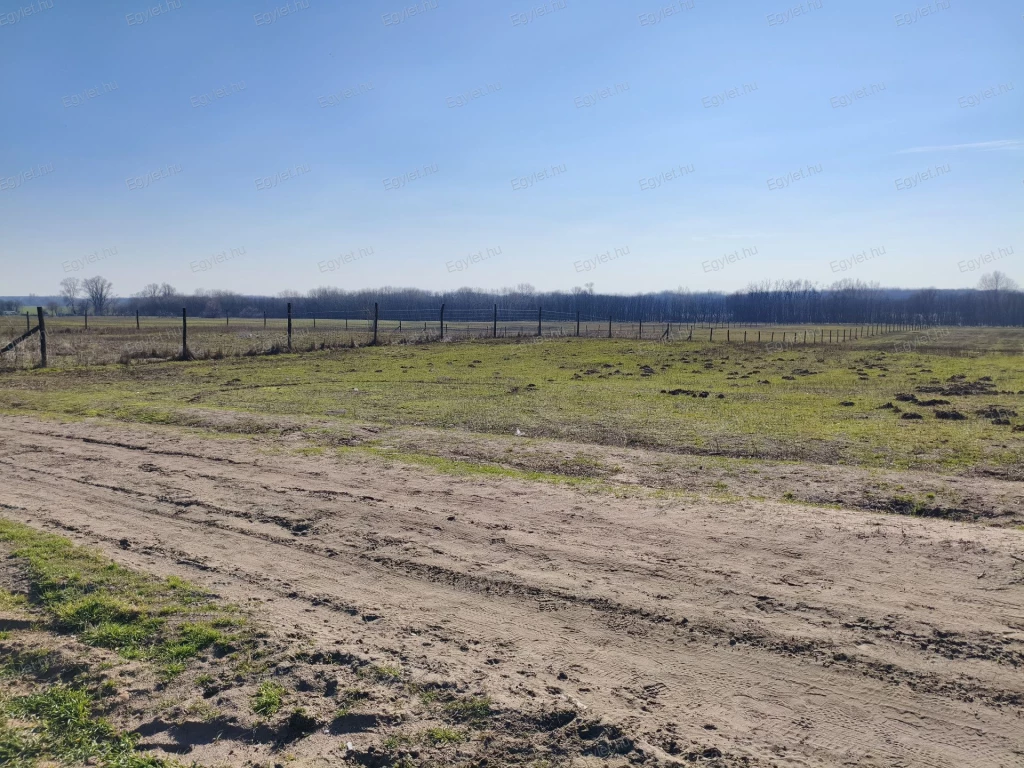 Megvételre kínálunk a 17. kerületben egy beépíthető, 14747 nm-es telket.