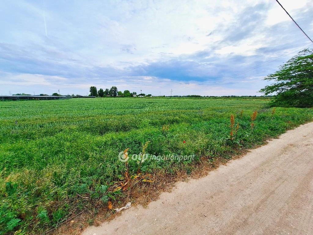 For sale plough-land, pasture, Szolnok