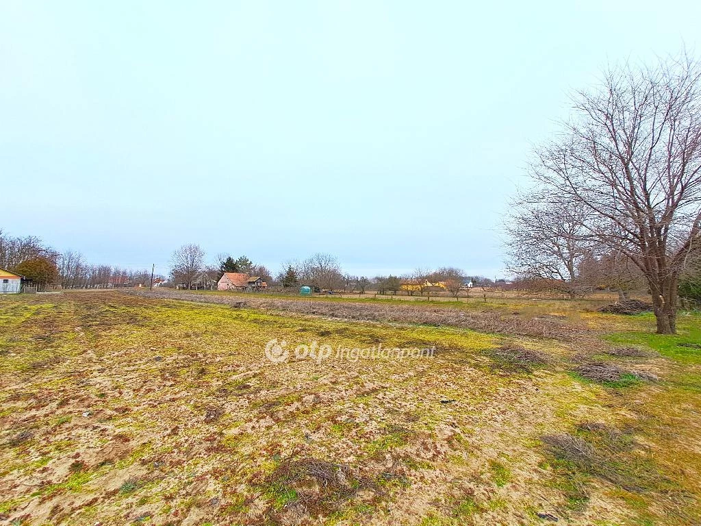 For sale periphery plot, Nagykőrös, Tázerdő