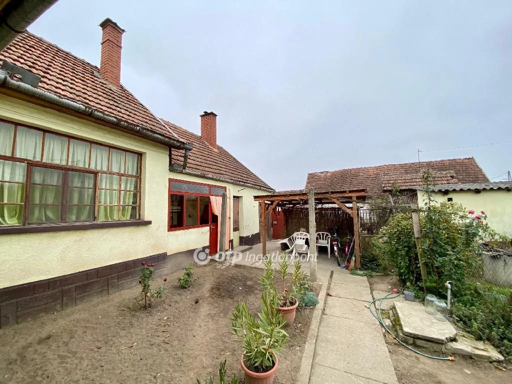 c3-1-name c2-1-name, Jánoshalma