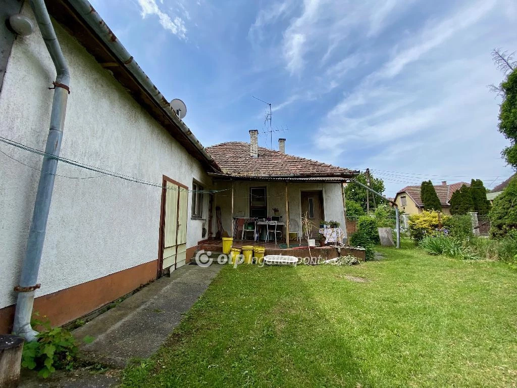 c3-1-name c2-1-name, Kiskunhalas