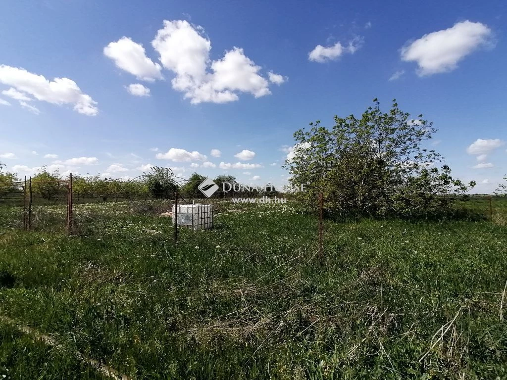 For sale periphery plot, Dunavecse