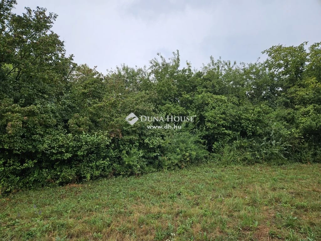 For sale periphery plot, Marcali