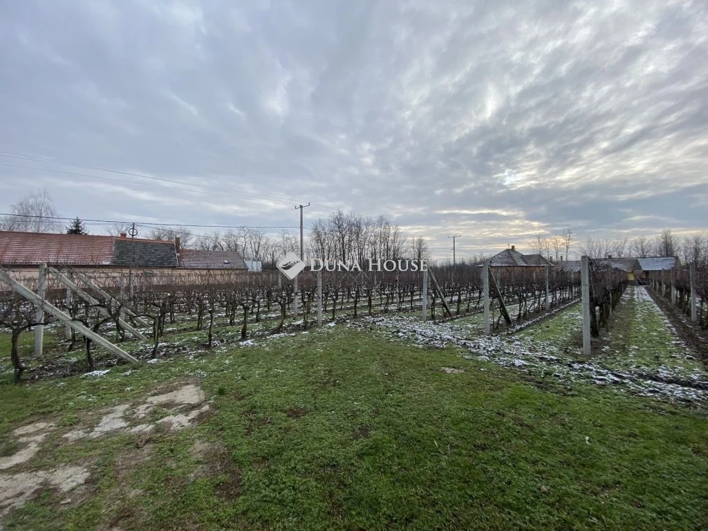 Eladó ház, Daruszentmiklós