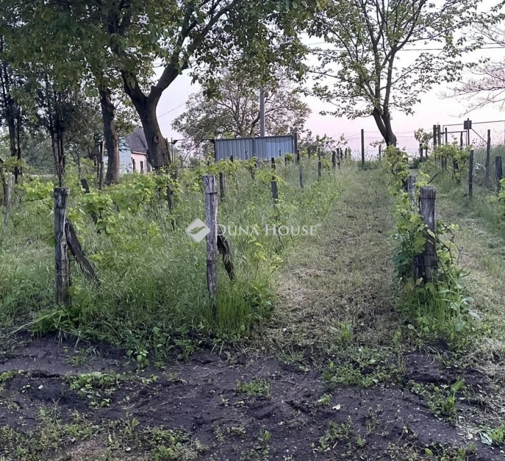 For sale building plot, Mezőfalva, Diófa sor