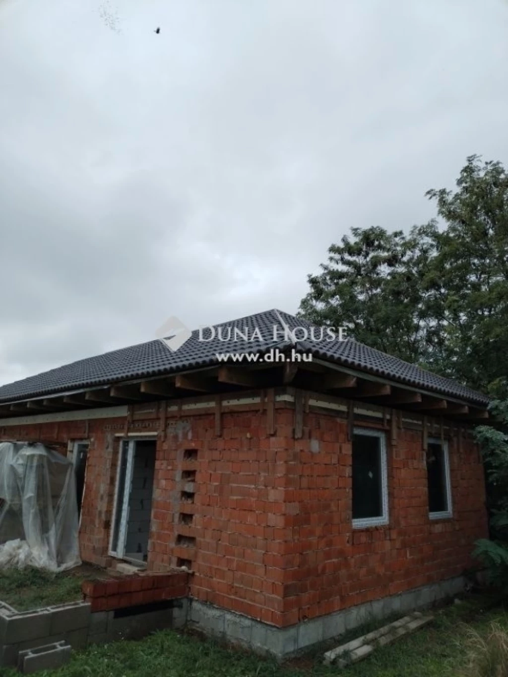 c3-1-name c2-1-name, Monorierdő