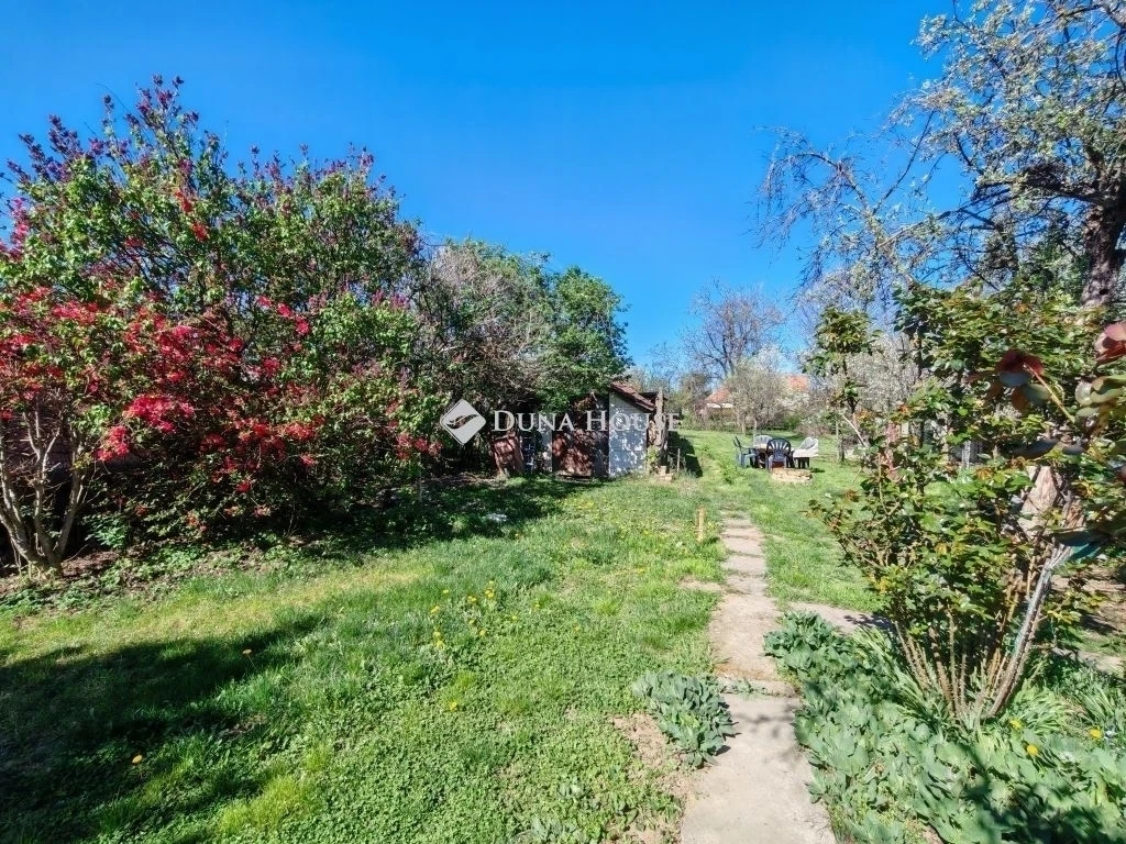 c3-1-name c2-1-name, Úri