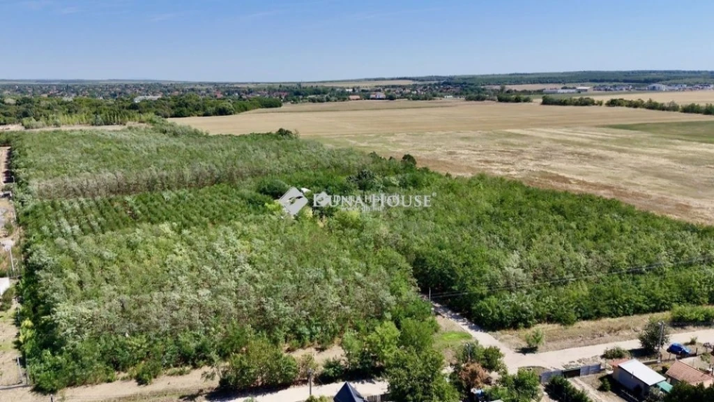 c3-1-name c2-94-name, Gyömrő