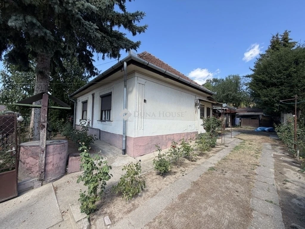 c3-1-name c2-1-name, Sülysáp