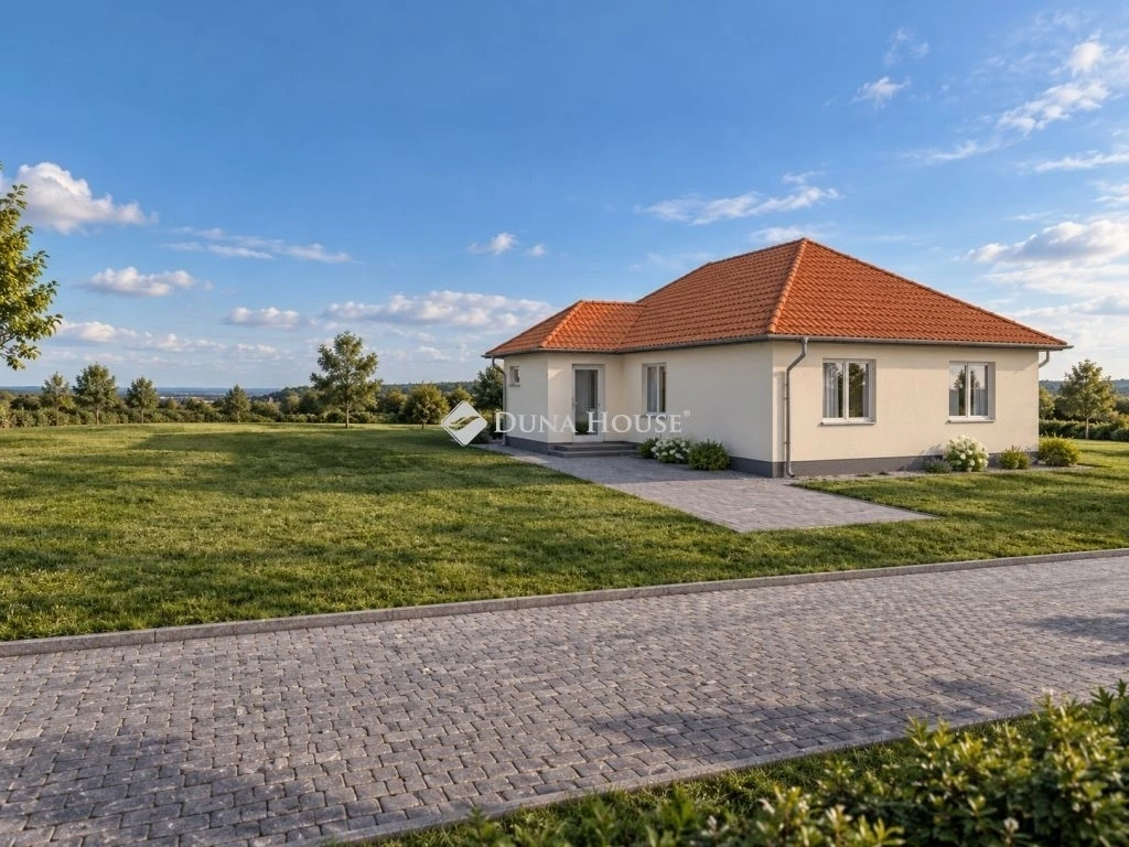 Eladó ház, Kóka