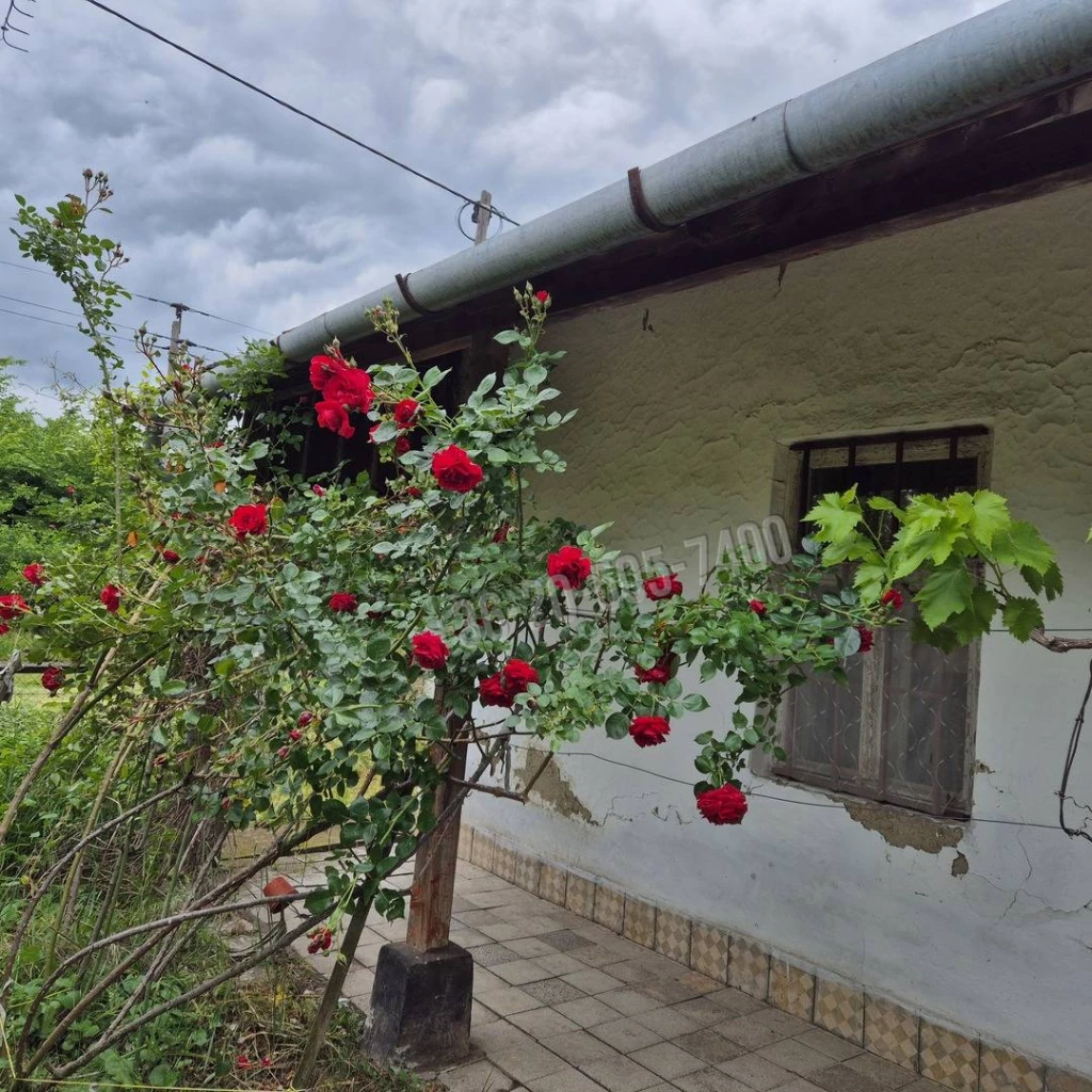 For sale house, Poroszló