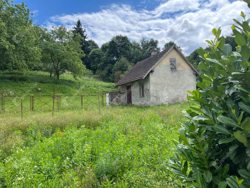 For sale house with a garden, Homokkomárom