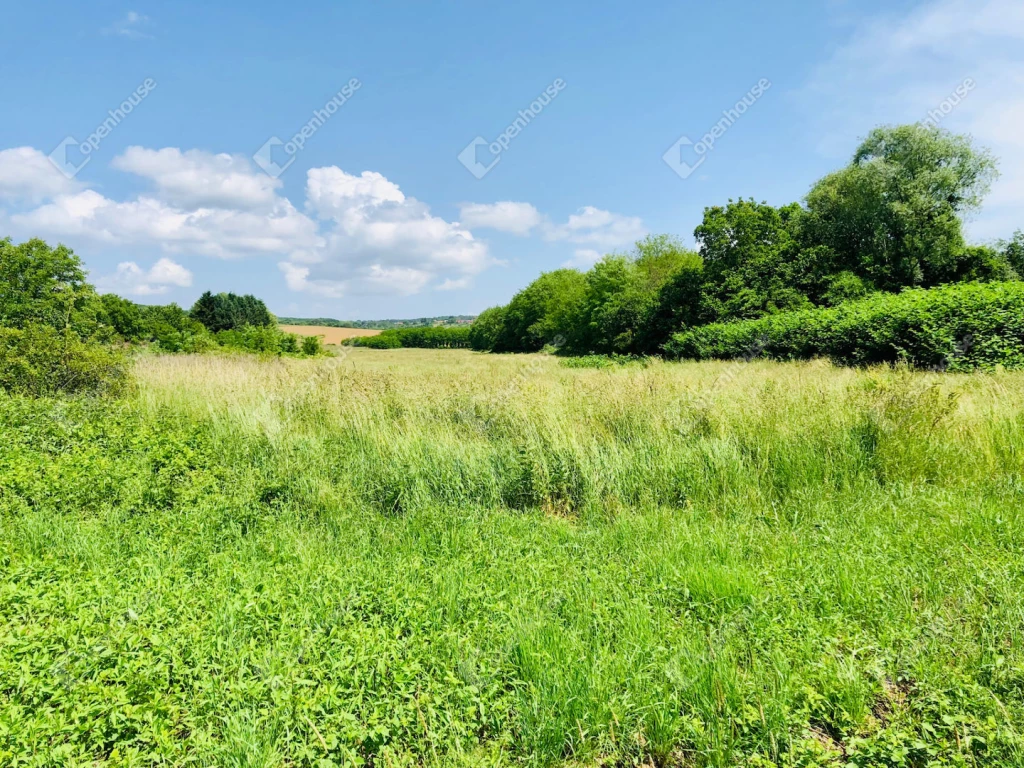 For sale plough-land, pasture, Nagykanizsa, Palin