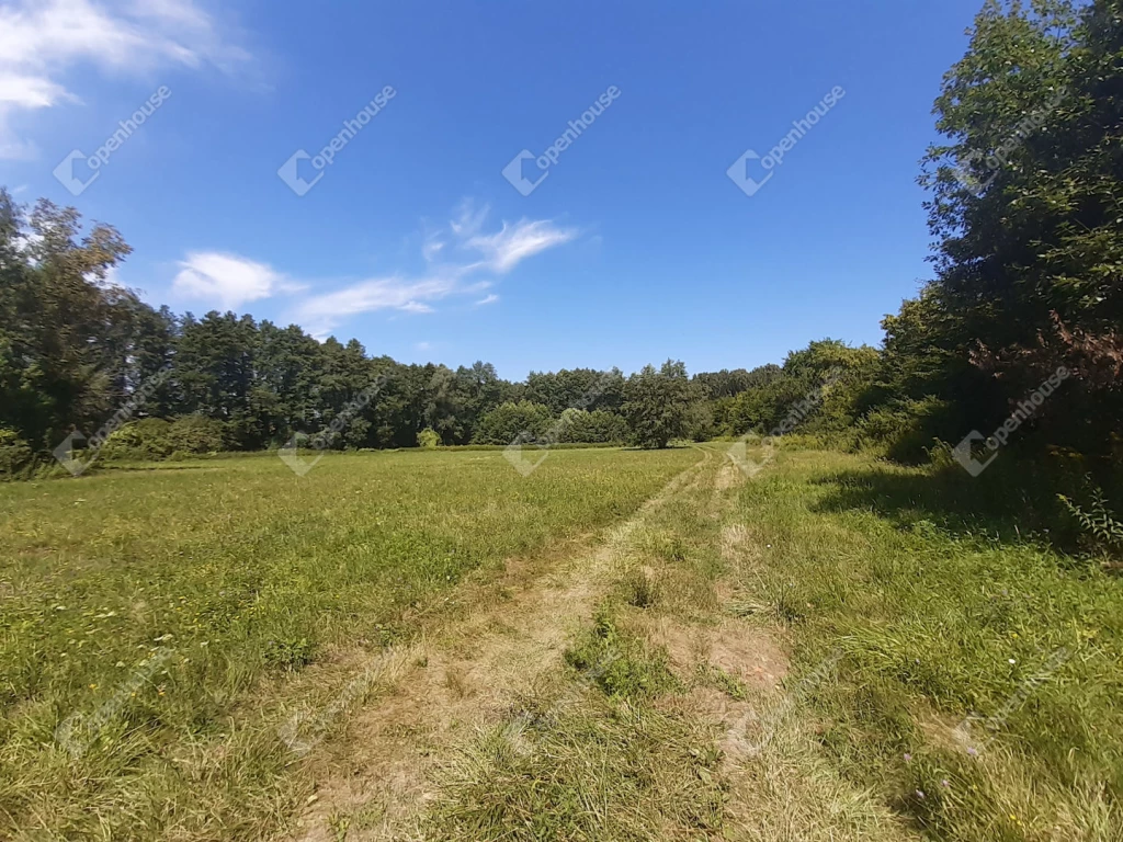 For sale forest, Szepetnek