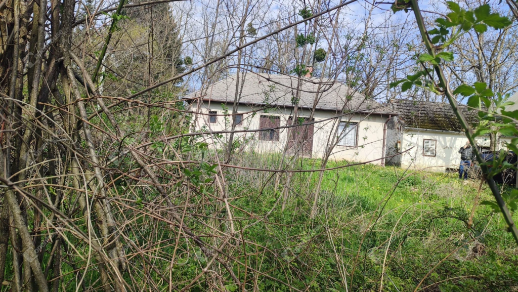 For sale house with a garden, Rigyác