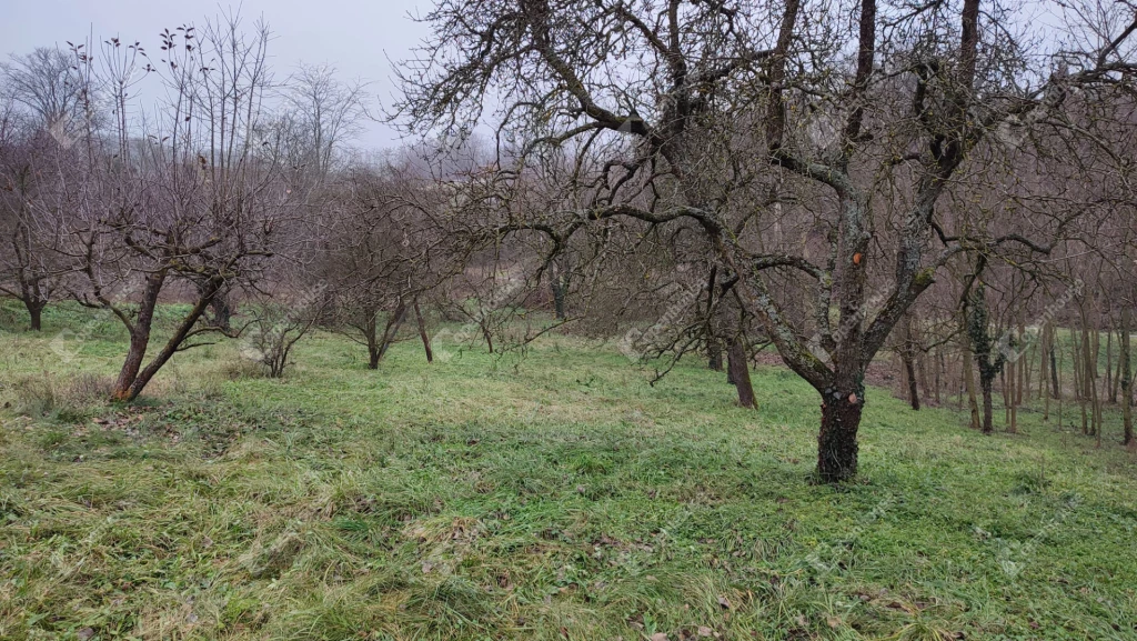 Építési telek Zalaegerszeg közelében.