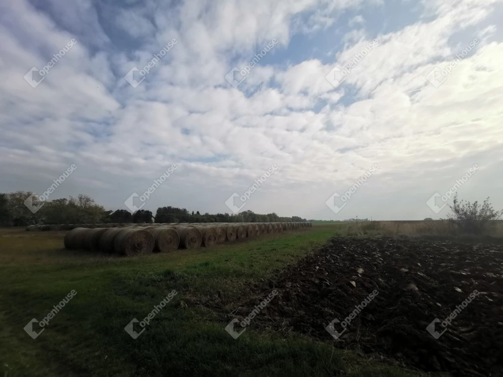 For sale plough-land, pasture, Alsópáhok