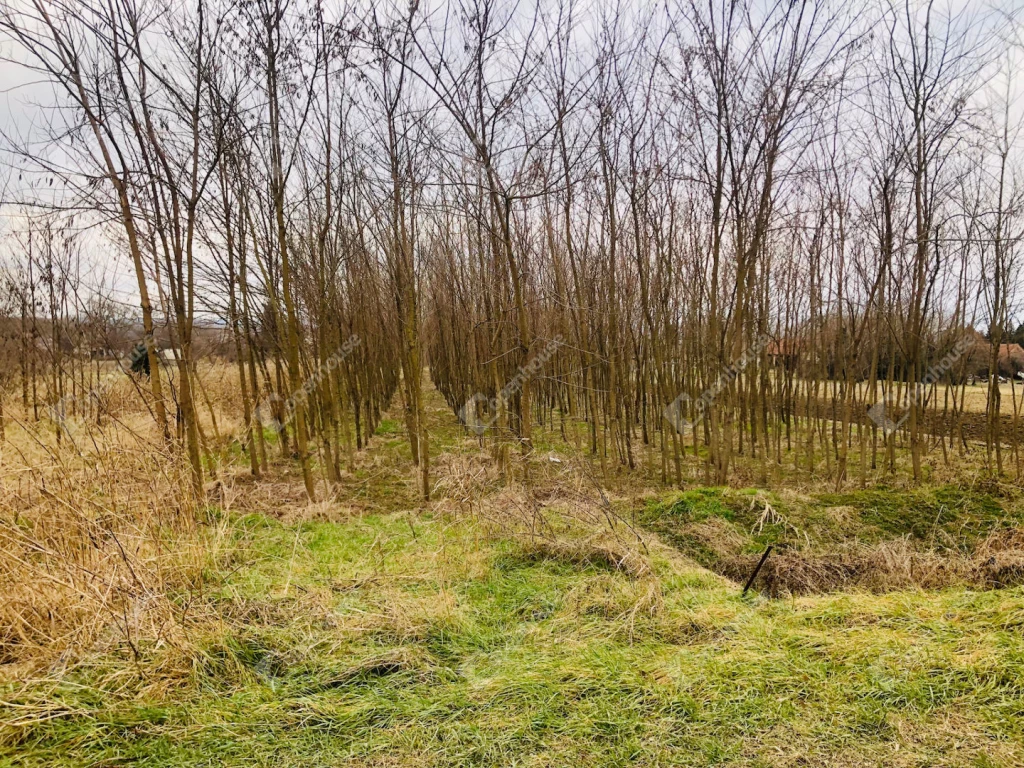 For sale building plot, Zalakomár