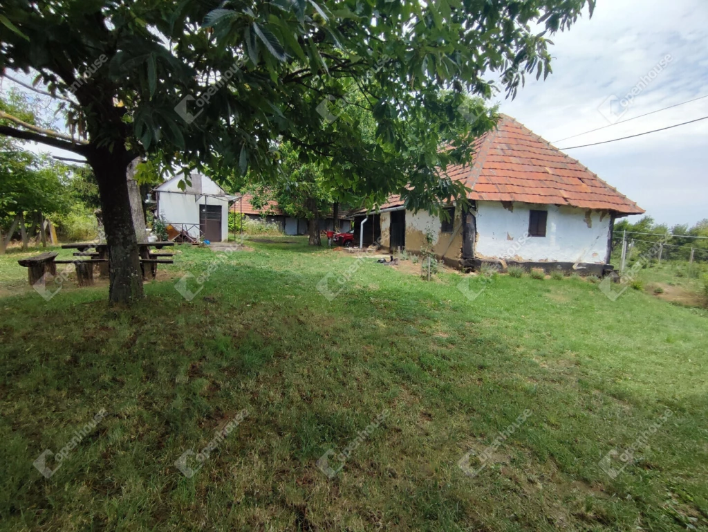 c3-1-name c2-62-name, Homokkomárom