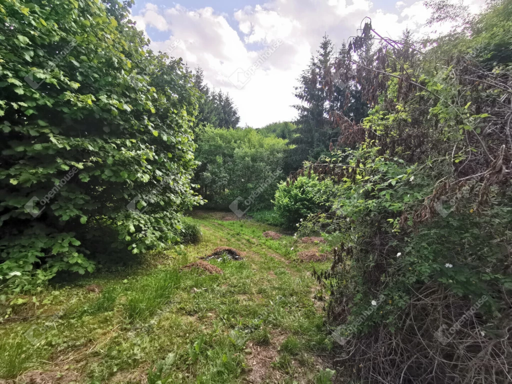 c3-1-name c2-52-name, Homokkomárom