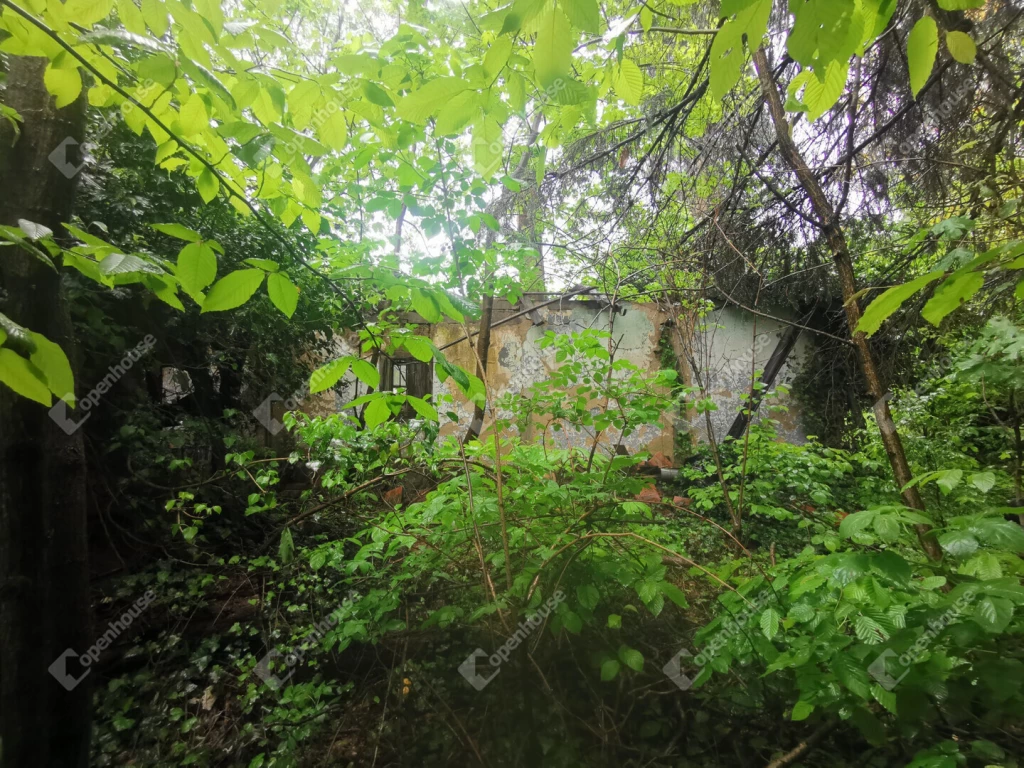 Őrtilos-Szentmihályhegyen örök panorámás zártkerti ingatlan eladó!