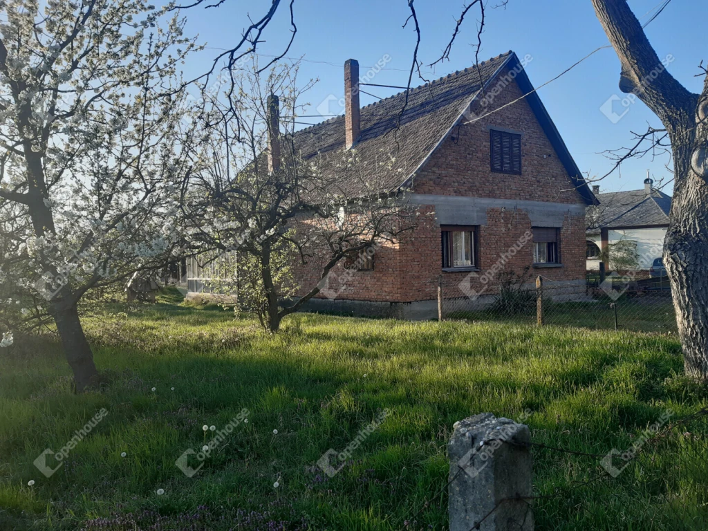 c3-1-name c2-1-name, Belezna