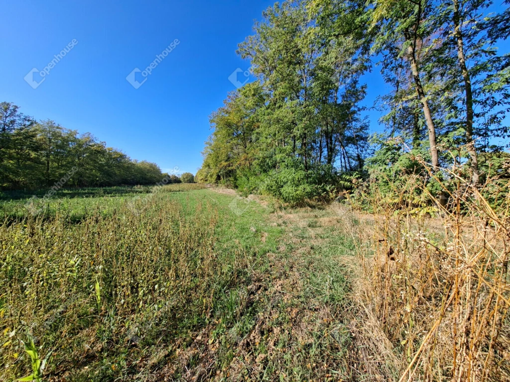 Tapsonyhoz tartozó zártkeri birtok Eladó