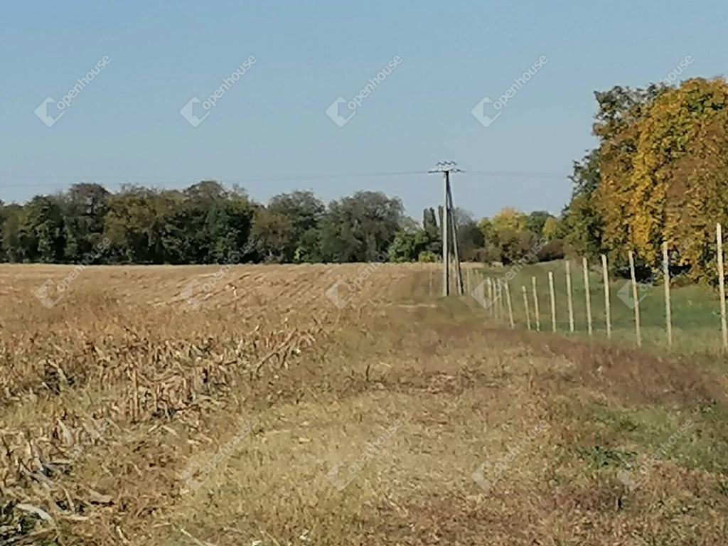 KIVÁLÓ BEFEKTETÉSI ÉS GAZDÁLKODÁSI LEHETŐSÉG NAGYRADÁN!