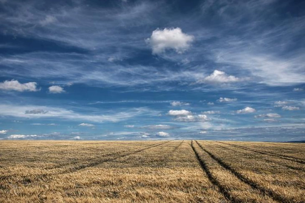Eladó külterületi telek, Fót
