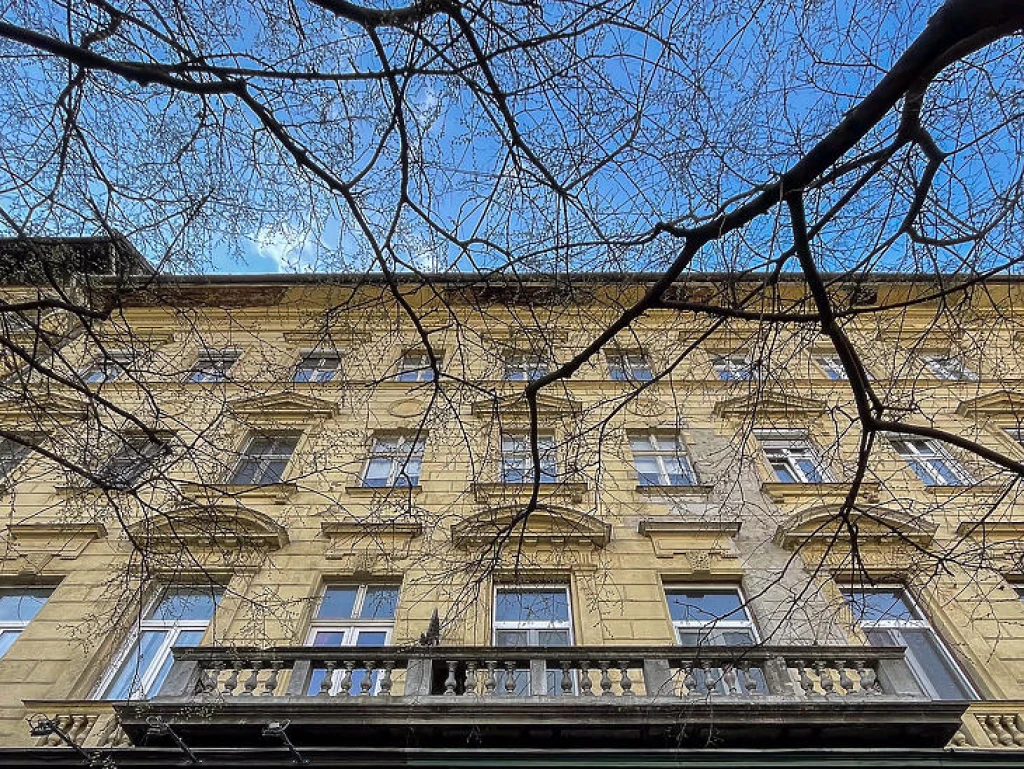 c3-1-name c2-19-name, Budapest VIII. kerület, Palotanegyed