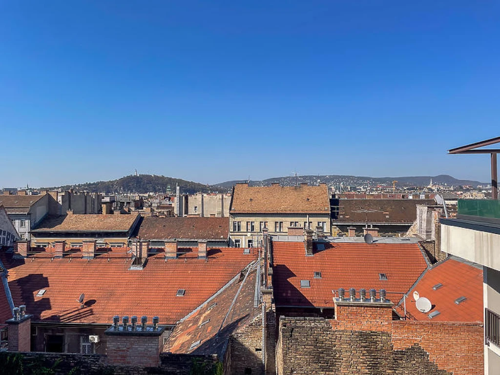 c3-1-name c2-19-name, Budapest VIII. kerület, Csarnok negyed