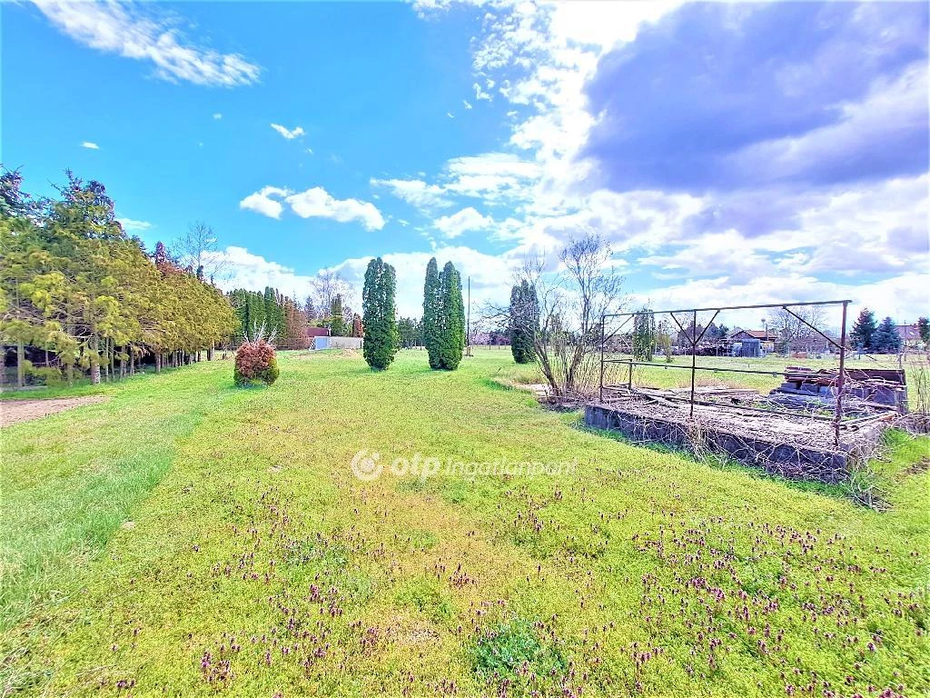 For sale building plot, Cegléd, Budai út felé