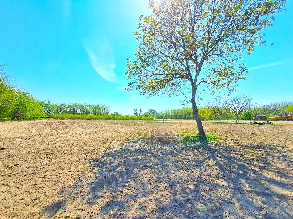 For sale building plot, Helvécia, Kiskőrösi út közelében