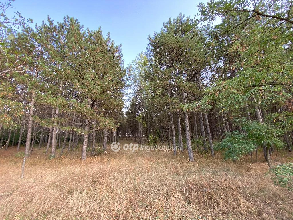 For sale building plot, Ballószög, Ballószög