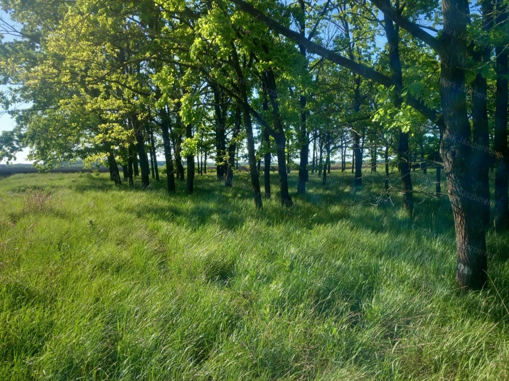 For sale other agricultural, Erk