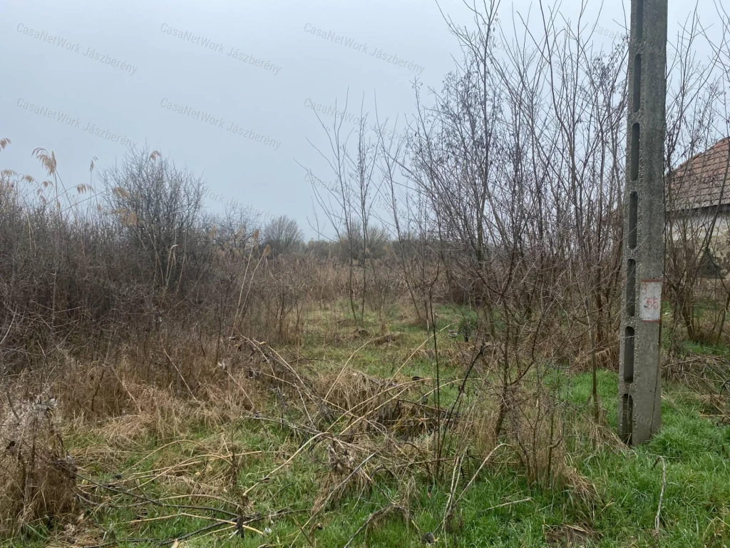 c3-1-name c2-50-name, Erk