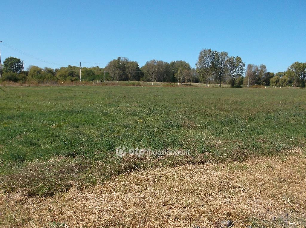 Eladó Telek, Gyöngyös