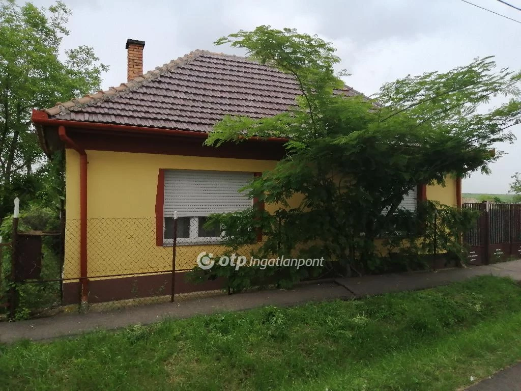 For sale house, Halmajugra