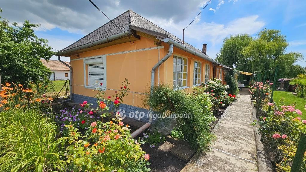 For sale house, Mezőtárkány