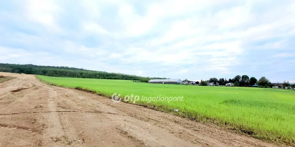 For sale building plot, Isaszeg