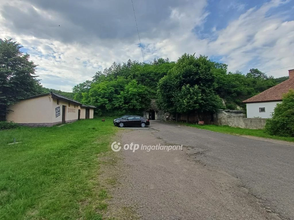 For sale winery, brasserie, buffet, Sirok