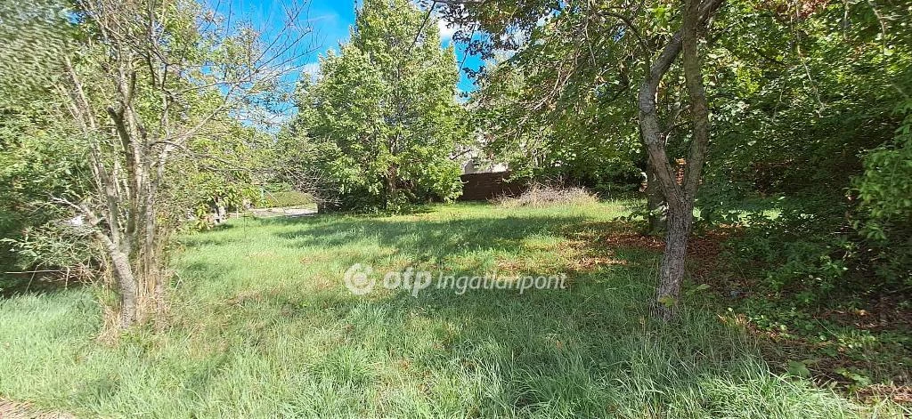 Eladó Telek, Pásztó