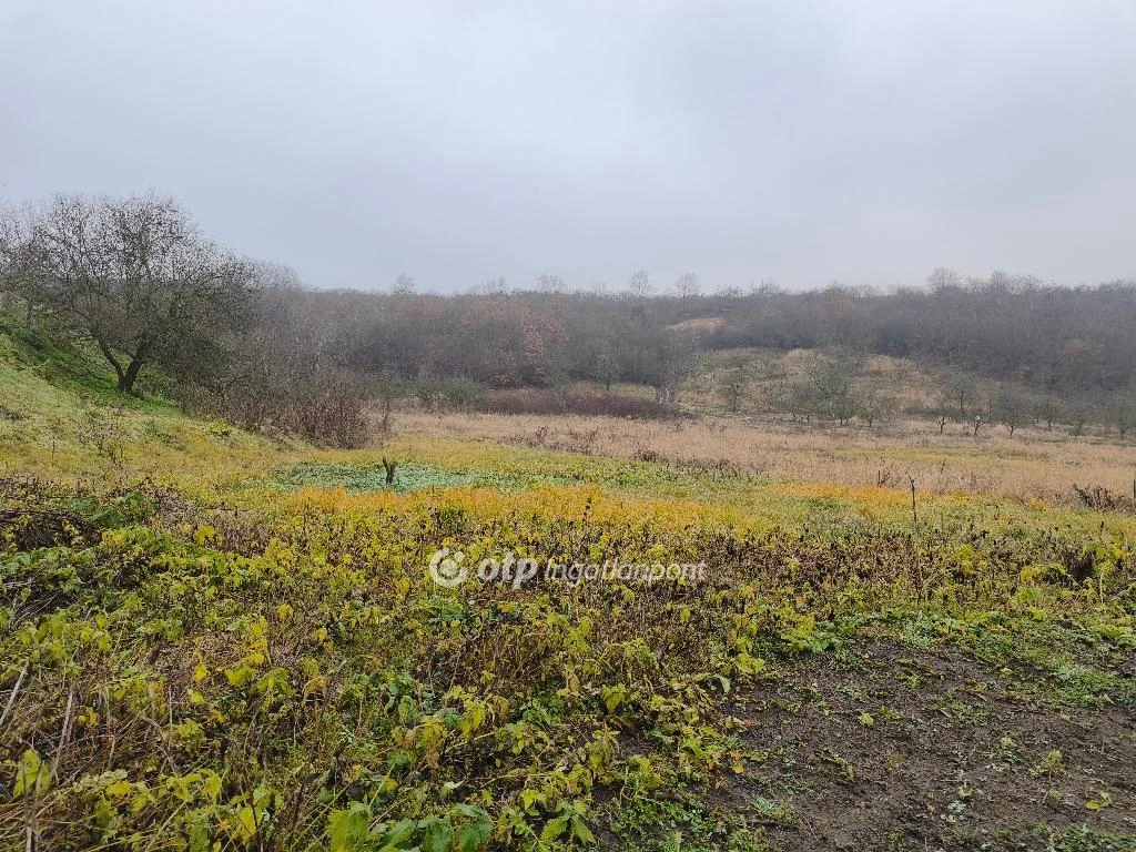 c3-1-name c2-50-name, Demjén