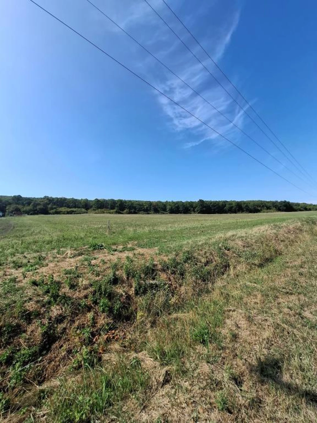 c3-1-name c2-50-name, Demjén