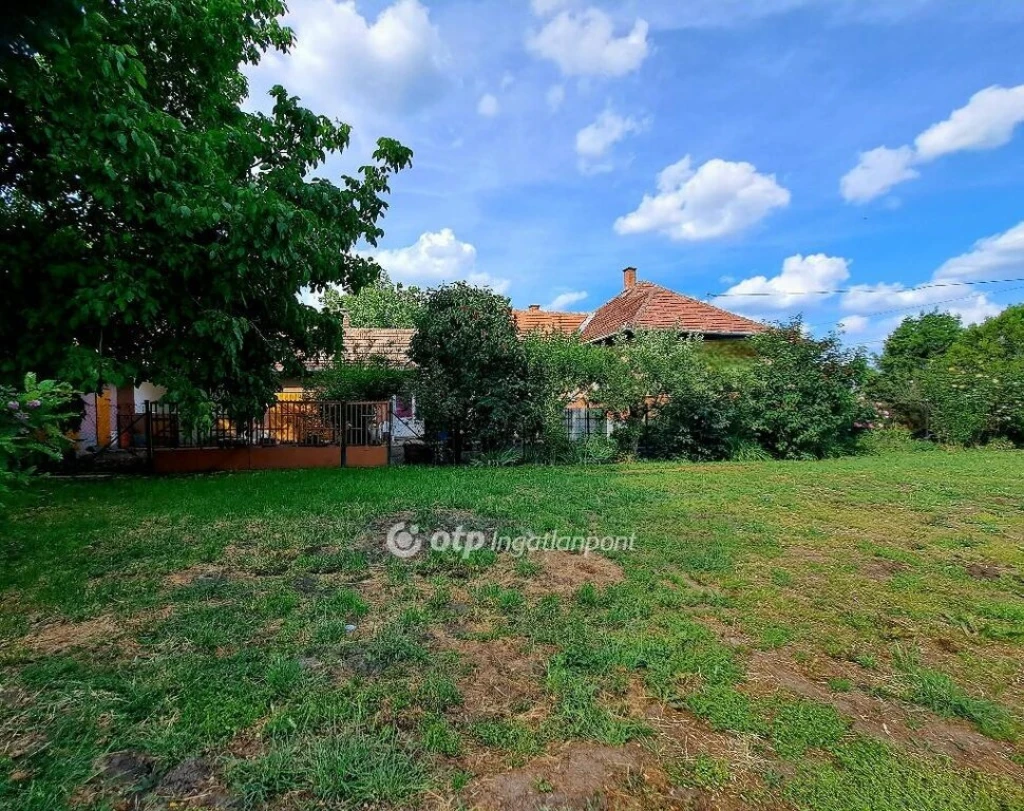 c3-1-name c2-1-name, Csány