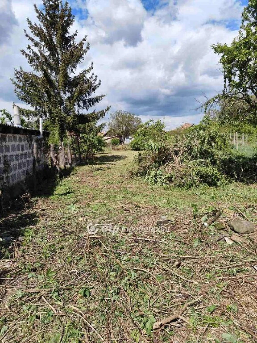 c3-1-name c2-50-name, Pásztó