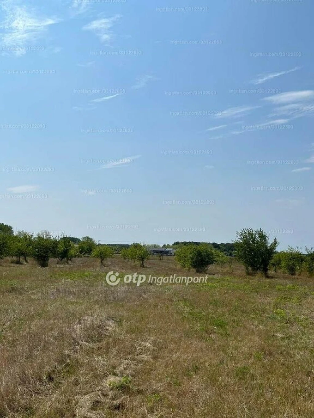 Eladó Telek, Fehérgyarmat