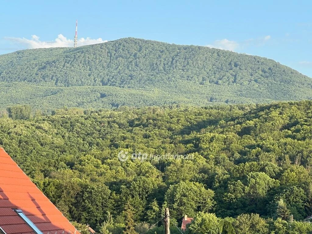 Eladó Ház, Parádsasvár