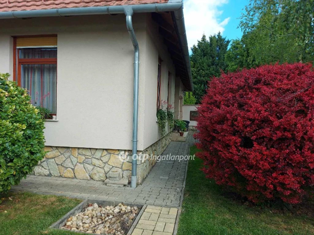 For sale house, Szajk